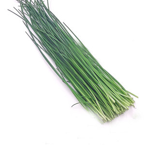 细叶葱50克法式小葱西餐披萨点缀食材新鲜蔬菜农产品深圳同城