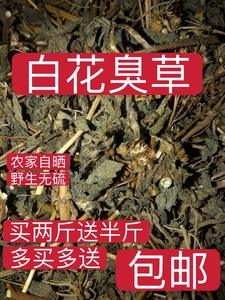 野生白花臭草 干品500g包邮农家自晒胜红蓟臭垆草 毛胜红中草药材