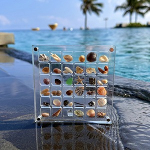贝壳收纳盒亚克力正方形透明海边微型石头标本展示迷你饰品收纳框