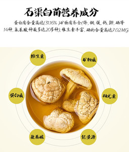 石渠白菌甘孜特产正宗高原野生黄蘑菇2021干货煲汤滋补品100g包邮