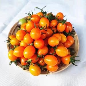 只发哈尔滨 黄金圣女果黄色樱桃珍珠番茄西红柿皇后小柿子水果2斤