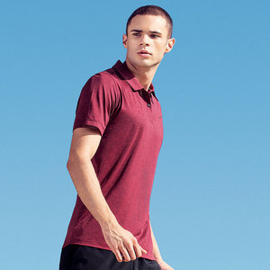 贵人鸟polo短袖t恤男2019夏秋季polo衫新款翻领男装上衣0292115