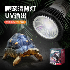 乌龟LED晒背灯全光谱太阳灯UVB补钙节能灯陆龟爬宠饲养盒龟缸晒灯