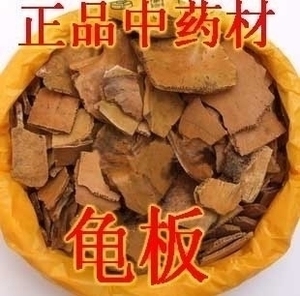 龟板中药