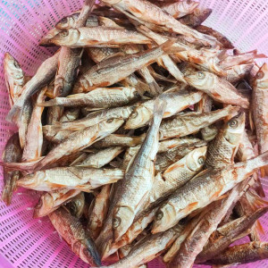 江西特产小河鱼沙沟鱼食用船丁鱼干无盐溪水淡水花骨鱼500克包邮