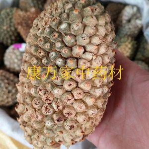 野生假菠萝中药材500g 山菠萝 野菠萝 罗鼓仔 帕梯 罗金堆