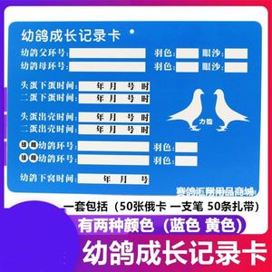 鸽子记录卡片