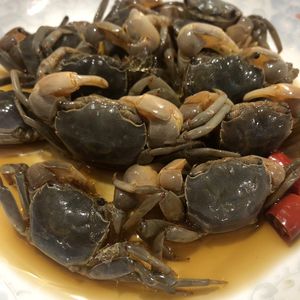 1000g醉白玉蟹发财蟹宁波象山舟山特产彭越蟹朋友蟹旁元咸呛蟹