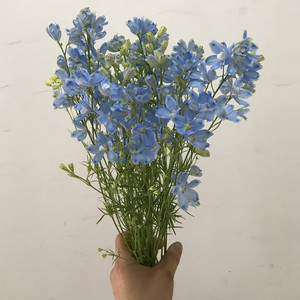 可爱小飞燕鲜花 生动花艺家用diy水培插花 婚礼捧花点缀 同城速递