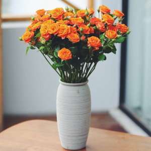 多头玫瑰多头泡泡玫瑰云南基地直发水养插花各类鲜花草花0人付款17