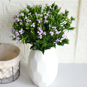 青梅鲜花云南花卉花束花市家用斗南市场水养真花插花昆明家庭配花