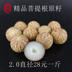 菩提根原籽原料白玉大菩提子手串手链按斤大小散珠高密精品正圆