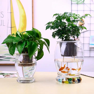 鱼缸玻璃圆球大炮弹水族箱金鱼缸客厅电视柜水培植物鱼花共养一体