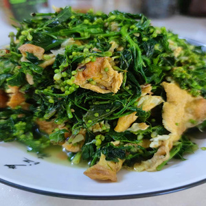 将军菜大别山信阳新县特产珍珠花菜花儿菜食用农产品山野菜500g