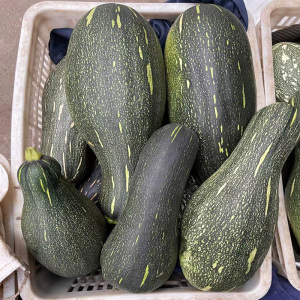 新鲜嫩南瓜长南瓜小窝瓜青南瓜迷你小南瓜长条嫩南瓜农家自种包邮