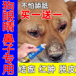 狗狗眼睛红肿专用药鼻子掉毛溃烂结痂外用药狗癣皮肤病药膏不怕舔