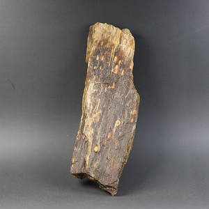 [虫驻朽木]天然硅化木树化石 230克 楼叔孤品