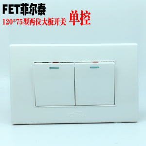 FET单控开关120*75型老款家用开关10A两位墙壁大板夜光灯具按钮白