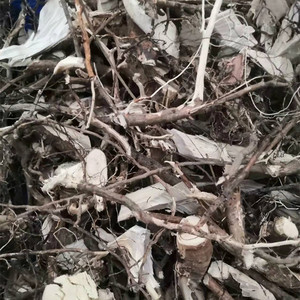 高山纯天然 盐肤木根 五倍子根 盐霜树根 盐刀柏根 湿品干品500克