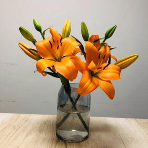 900人付款淘宝水仙百合六