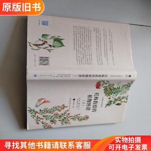 托梅教授的植物图谱【下】