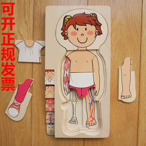 儿童木质拼图人体拼图儿童多层拼图幼儿园人体结构早教教具出口