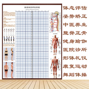 体态评估表墙贴健身房体测网格纸瑜伽馆私教姿势体位背景墙体姿图