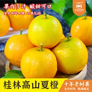 橙子广西桂林高山夏橙孕妇酸甜水果新鲜当季整箱手剥橙晚伦脐橙