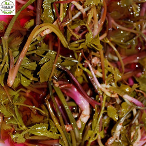 贵州特产酸芹菜农家自制水芹菜水酸菜手工腌制泡菜野生芹菜500克