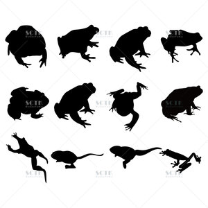 青蛙黑白剪影矢量插图水陆两栖小动物树蛙牛蛙跳蛙ai格式免抠素材