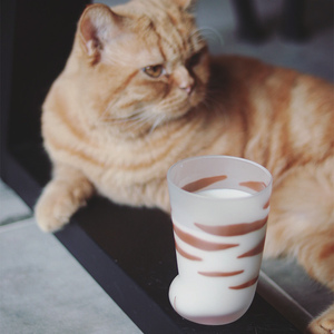 日本进口aderia石冢硝子猫爪杯玻璃杯可爱猫脚杯水杯儿童牛奶杯