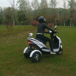 电动车不倒翁