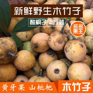 木竹子黄牙果野生