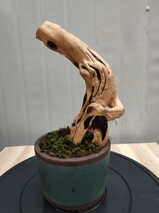 爱心果
