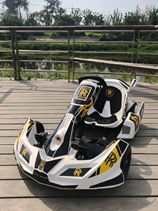 平衡车改装四轮车