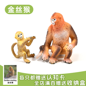 仿真实心野生金丝猴模型小猴子动物玩具男女孩儿童礼物