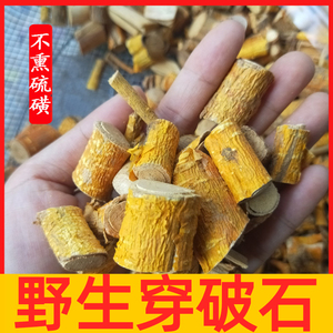 野生穿破石中药材构棘根小柘树根九层皮山荔枝新鲜晒干500克包邮