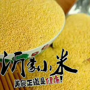 沂蒙山特产优质农家小米新鲜包邮礼盒装2.5kg