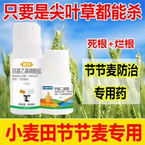 节节麦野麦子除草剂燕麦除草剂甲基二磺隆除草剂小麦除草剂