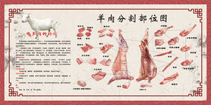 羊腿解剖图图片