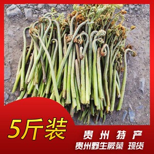 贵州新鲜厥菜野生蔬菜甜蕨苦蕨野菜下饭菜本季当季龙爪拳头菜包邮