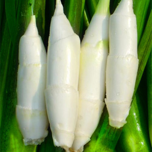 【冰袋加泡沫箱 4斤装包邮】新鲜茭白茭儿菜茭笋高笋产妇月子辅食