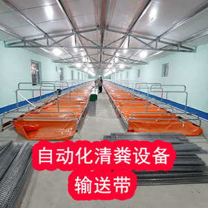 麦宝 养兔自动化清粪设备输送带 规模化兔子养殖用自动清粪系统