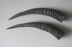 【山羊角对角】山羊角对角品牌,价格 - 阿里巴巴