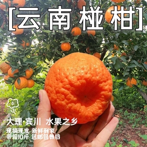 云南高原山地酸甜晚熟椪柑岩溪晚芦应季橘子宾川特产新鲜孕妇水果