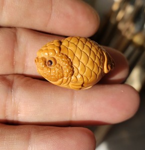 000人付款淘宝陆小琴核雕 橄榄核手串浮雕金鱼满堂 纯手工雕刻水草