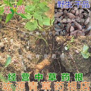 青草药根店野生土藤头涂藤头白碎玉白花鸡屎藤狗头藤牛白藤猪肠根