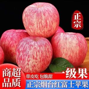 山东烟台红富士栖霞苹果水果吃的新鲜现摘脆甜一级当季整箱