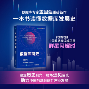 数据库简史 盖国强著 大模型大数据互联网云计算Oracle国产数据库计算机书籍行业发展历程 数据库技术书 人民邮电出版社 正版书籍