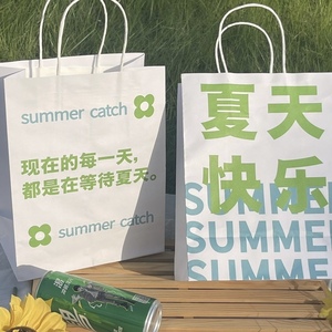 ins礼品袋简约韩版手提纸袋创意文字打包春天礼物袋生日包装袋子